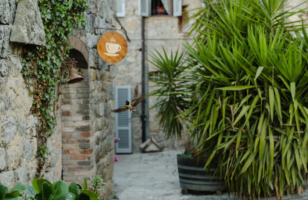 Fattoria San Donato-1